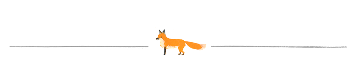 Mister Fox